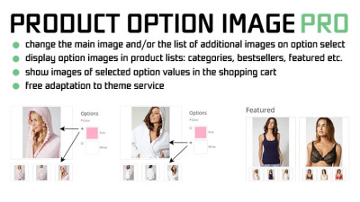 Πρόγραμμα επιλογής προϊόντος με βάση το χρώμα (Product Option Image PRO 3)