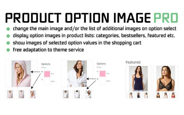 Πρόγραμμα επιλογής προϊόντος με βάση το χρώμα (Product Option Image PRO 3)