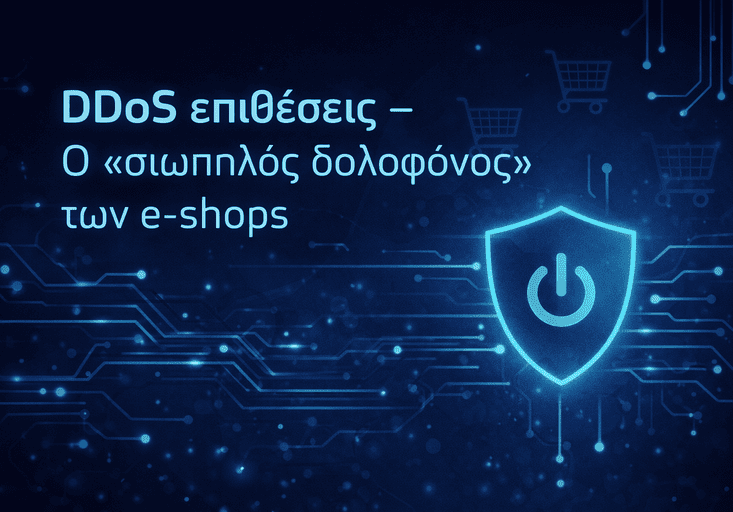 DDoS Attacks: The 'Silent Killer' of E-shops